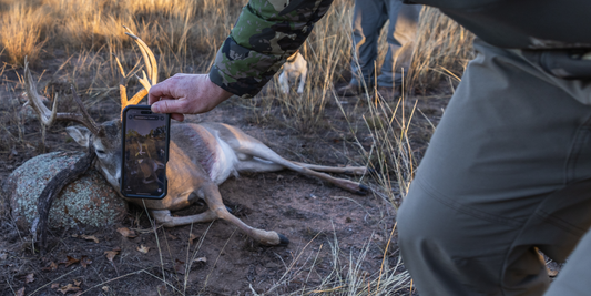 What is Trophy Scan?