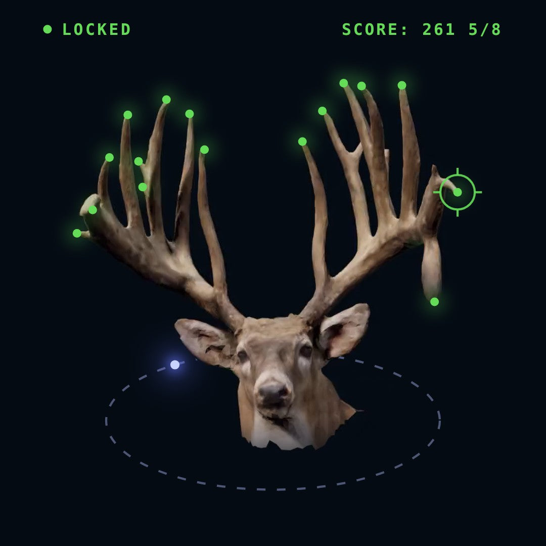 A 3D scan of a buck with each antler tip marked in green and the score showing