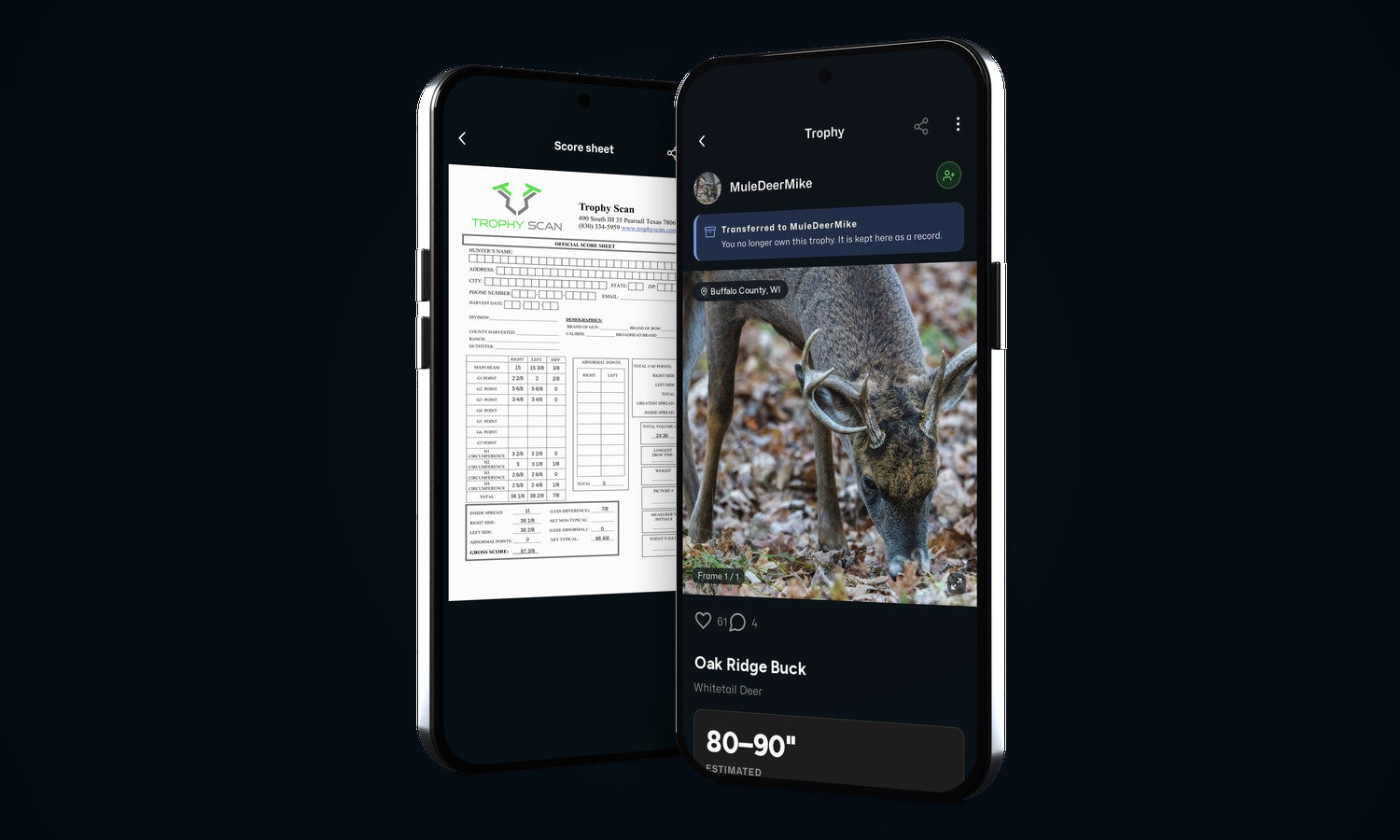 Two phones showing a Trophy Scan score sheet and a whitetail trophy page with its field score range