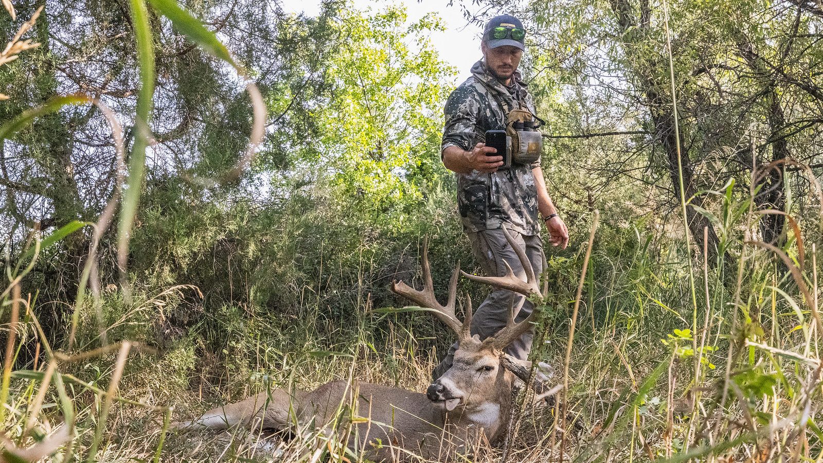Hunter walking up to his whitetail buck in tall grass with his phone out