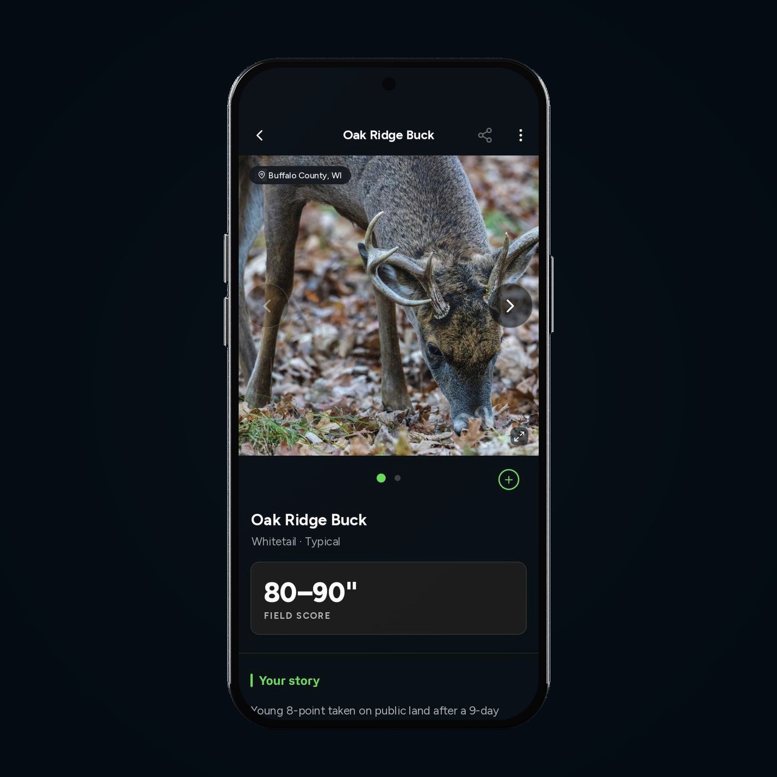 Phone showing a whitetail trophy page with its field score